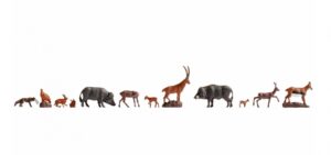 Forest Animals