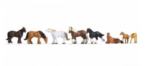 Draught Horses