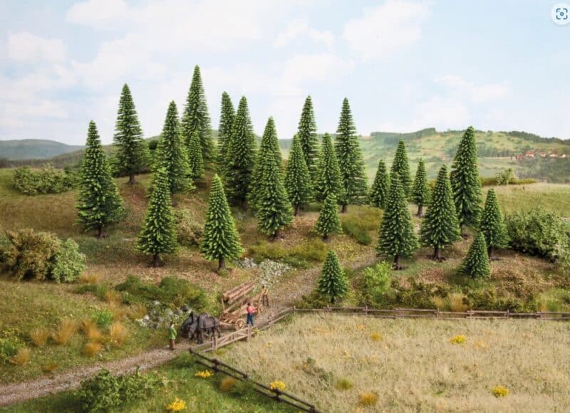 Model Spruce Trees, extra high