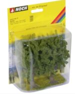 Beech Trees 2 pieces, 13 cm high