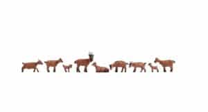 Goats