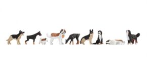 Dogs