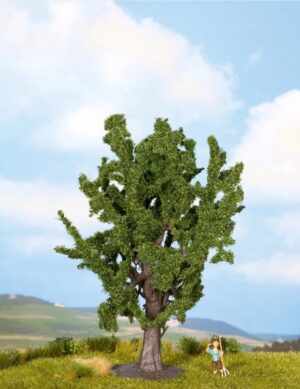 Oak Tree