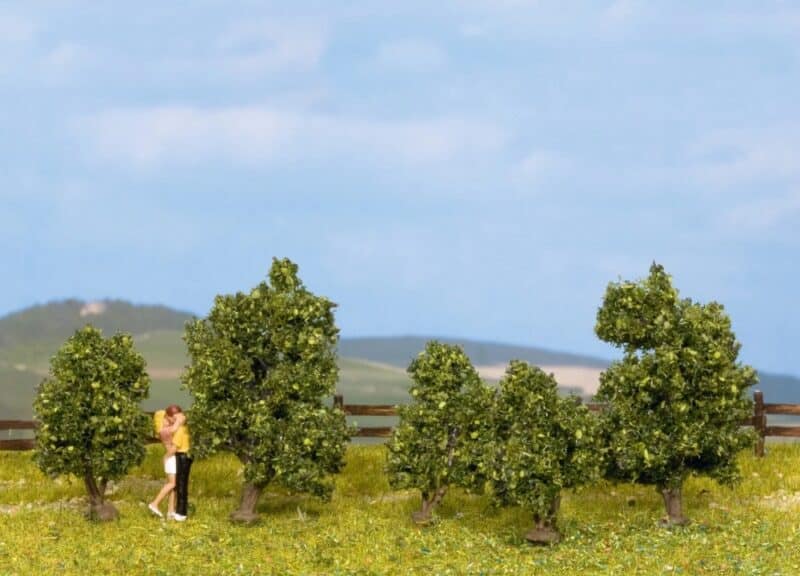 Bushes