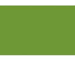 BCA032- Lime 22ml