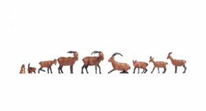 Alpine Animals