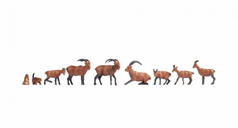 Alpine Animals