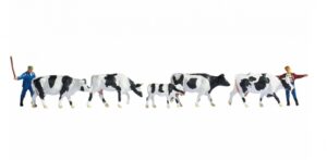 Drover and Cows