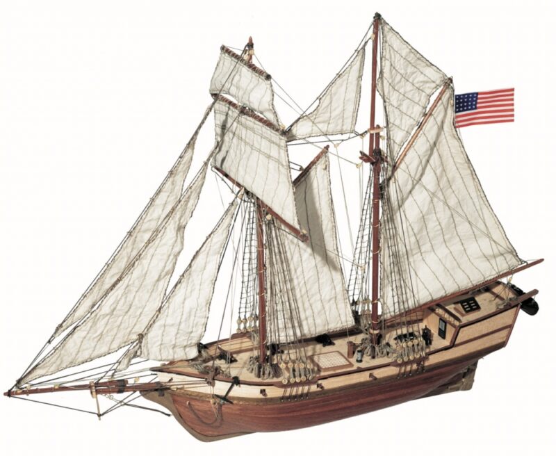 Albatross