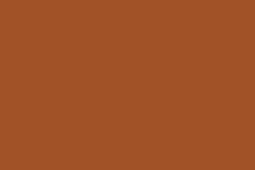 BCA005-TAN 22ML