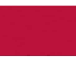 BCA035- Signal Red 22ml