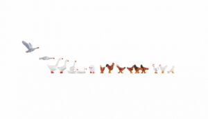 Chicken and Geese